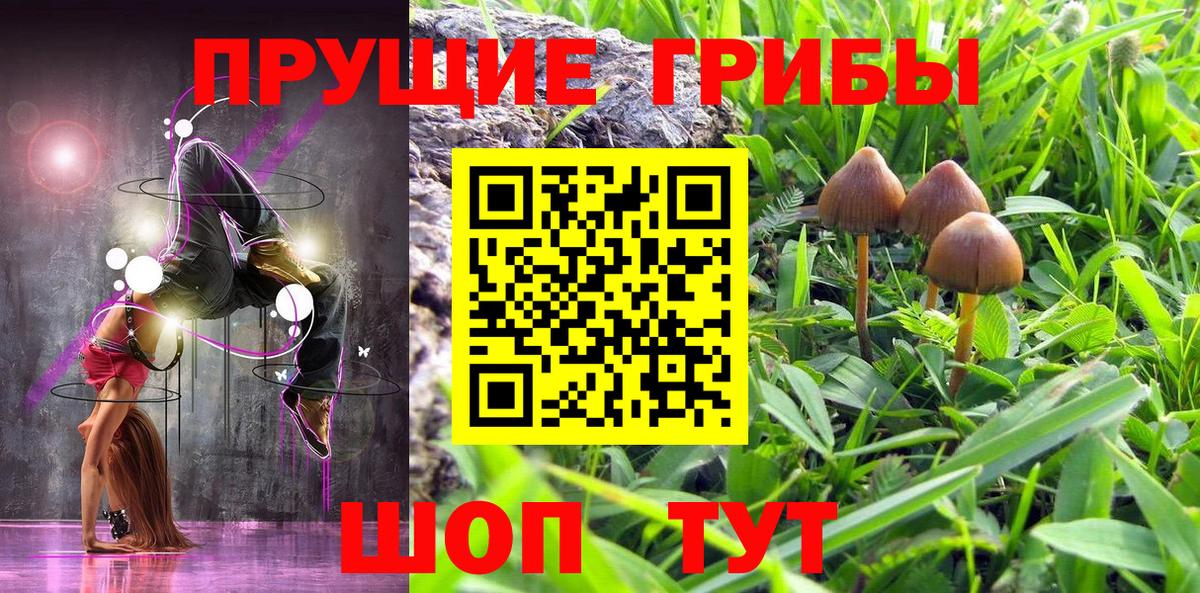 Калуга  Галлюциногенные грибы мухоморы  Псилоцибиновые грибы мицелий  Вход с VPN 